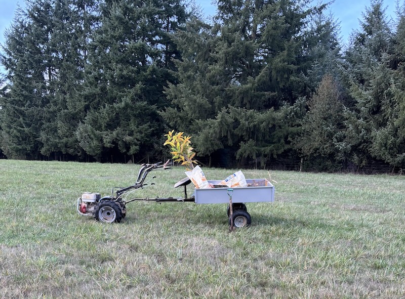 cart