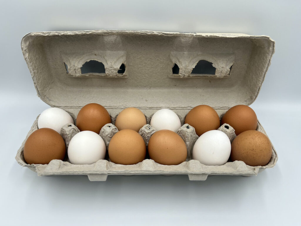 eggs in a carton